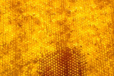 Altın nektarla dolu altıgen bal peteklerinden arı damlayan bal damlası, bal peteği yaz kompozisyonu doğal bal damlası, balmumu çerçeve arısına damlayan bal damlası, bal peteğine damlayan bal damlası