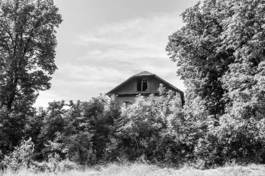 Doğal arka planda terk edilmiş güzel bir çiftlik evi, terk edilmiş eski bir çiftlik evi, gökyüzünün üzerinde terk edilmiş eski bir çiftlik evi.