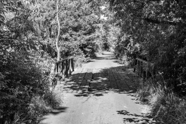Nehrin üzerinde güzel bir şekilde duran ahşap köprü, yakın plan, nehrin yukarısındaki eski ahşap köprü, doğal park için nehirde eski ahşap köprü.