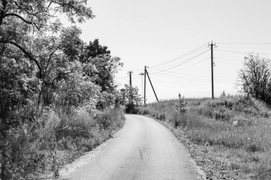 Renkli arka planda güzel boş asfalt yol, kırsal alandan geçen yeni boş asfalt yol, yeşillik kırsalında hız arabası için boş asfalt yol.