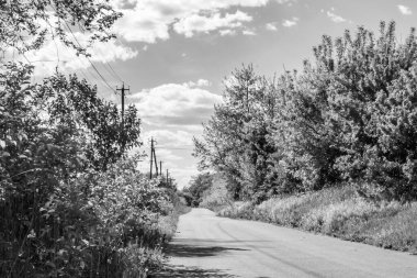 Renkli arka planda güzel boş asfalt yol, kırsal alandan geçen yeni boş asfalt yol, yeşillik kırsalında hız arabası için boş asfalt yol.