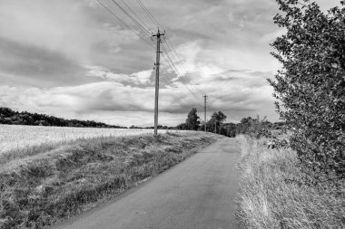 Renkli arka planda güzel boş asfalt yol, kırsal alandan geçen yeni boş asfalt yol, yeşillik kırsalında hız arabası için boş asfalt yol.