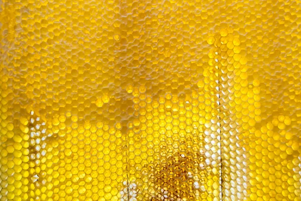 Altın nektarla dolu altıgen bal peteklerinden arı damlayan bal damlası, bal peteği yaz kompozisyonu doğal bal damlası, balmumu çerçeve arısına damlayan bal damlası, bal peteğine damlayan bal damlası