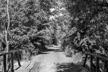 Nehrin üzerinde güzel bir şekilde duran ahşap köprü, yakın plan, nehrin yukarısındaki eski ahşap köprü, doğal park için nehirde eski ahşap köprü.