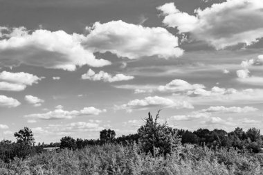 Renkli doğal arka plan üzerine köy çayırında güzel bir ufuk manzarası, uzun çayırdaki çayır köyünde ufuk manzarası, hayvan için köy otlağındaki ufuk doğa manzarası.