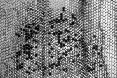 Altın nektarla dolu altıgen bal peteklerinden arı damlayan bal damlası, bal peteği yaz kompozisyonu doğal bal damlası, balmumu çerçeve arısına damlayan bal damlası, bal peteğine damlayan bal damlası