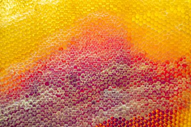 Altın nektarla dolu altıgen bal peteklerinden arı damlayan bal damlası, bal peteği yaz kompozisyonu doğal bal damlası, balmumu çerçeve arısına damlayan bal damlası, bal peteğine damlayan bal damlası