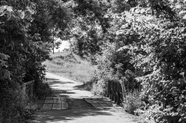 Nehrin üzerinde güzel bir şekilde duran ahşap köprü, yakın plan, nehrin yukarısındaki eski ahşap köprü, doğal park için nehirde eski ahşap köprü.