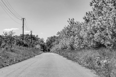 Renkli arka planda güzel boş asfalt yol, kırsal alandan geçen yeni boş asfalt yol, yeşillik kırsalında hız arabası için boş asfalt yol.