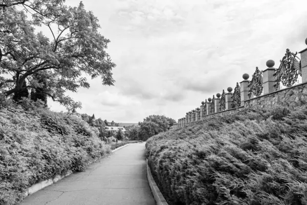 Renkli arka planda güzel boş asfalt yol, kırsal alandan geçen yeni boş asfalt yol, yeşillik kırsalında hız arabası için boş asfalt yol.