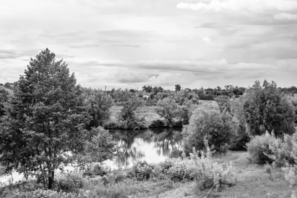Kırsal kesimde yetişen güzel ot sazları renkli arka planda yetişiyor. Islak sularda vahşi ot bataklık kamışları, doğadan gelen uzun çimen kamışları.