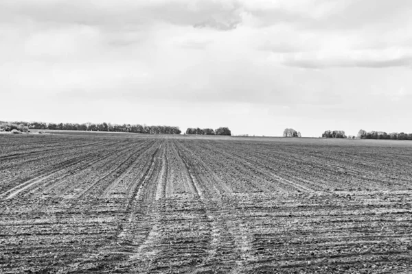 Organik hasat için büyük boş tarla fotoğrafları, gökyüzü arka planında hasat için büyük boş tarım tarlalarından oluşan fotoğraf, bu sonbahar mevsiminde hasat için boş tarla.