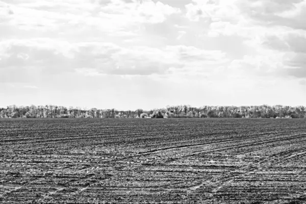 Organik hasat için büyük boş tarla fotoğrafları, gökyüzü arka planında hasat için büyük boş tarım tarlalarından oluşan fotoğraf, bu sonbahar mevsiminde hasat için boş tarla.
