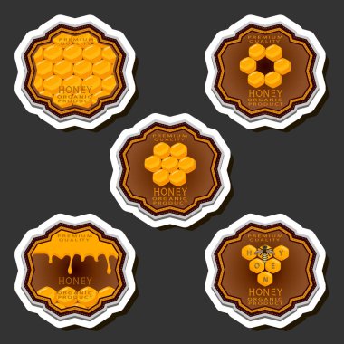 Şekerin bal peteğinde arıyla akışının etiketi üzerine bir illüstrasyon, bal peteğinden arıya, bal peteğinden büyük parlak etikete, bal peteğinden bal kovanına kadar yapışkan baldan oluşan etiketler.