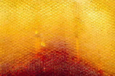 Altın nektarla dolu altıgen bal peteklerinden arı damlayan bal damlası, bal peteği yaz kompozisyonu doğal bal damlası, balmumu çerçeve arısına damlayan bal damlası, bal peteğine damlayan bal damlası