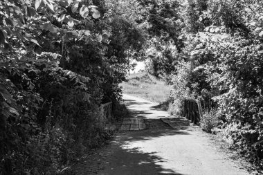 Nehrin üzerinde güzel bir şekilde duran ahşap köprü, yakın plan, nehrin yukarısındaki eski ahşap köprü, doğal park için nehirde eski ahşap köprü.