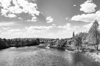 Kırsal kesimde yetişen güzel ot sazları renkli arka planda yetişiyor. Islak sularda vahşi ot bataklık kamışları, doğadan gelen uzun çimen kamışları.