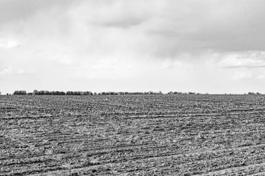 Organik hasat için büyük boş tarla fotoğrafları, gökyüzü arka planında hasat için büyük boş tarım tarlalarından oluşan fotoğraf, bu sonbahar mevsiminde hasat için boş tarla.