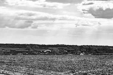 Organik hasat için büyük boş tarla fotoğrafları, gökyüzü arka planında hasat için büyük boş tarım tarlalarından oluşan fotoğraf, bu sonbahar mevsiminde hasat için boş tarla.