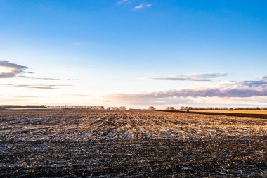 Organik hasat için büyük boş tarla fotoğrafları, gökyüzü arka planında hasat için büyük boş tarım tarlalarından oluşan fotoğraf, bu sonbahar mevsiminde hasat için boş tarla.