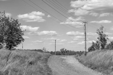 Renkli arka planda güzel boş asfalt yol, kırsal alandan geçen yeni boş asfalt yol, yeşillik kırsalında hız arabası için boş asfalt yol.