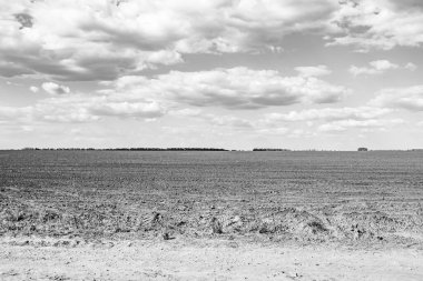 Organik hasat için büyük boş tarla fotoğrafları, gökyüzü arka planında hasat için büyük boş tarım tarlalarından oluşan fotoğraf, bu sonbahar mevsiminde hasat için boş tarla.