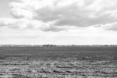 Organik hasat için büyük boş tarla fotoğrafları, gökyüzü arka planında hasat için büyük boş tarım tarlalarından oluşan fotoğraf, bu sonbahar mevsiminde hasat için boş tarla.