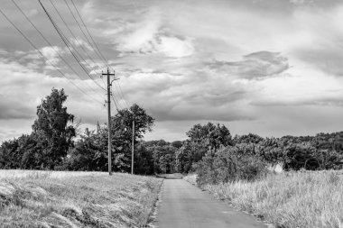 Renkli arka planda güzel boş asfalt yol, kırsal alandan geçen yeni boş asfalt yol, yeşillik kırsalında hız arabası için boş asfalt yol.