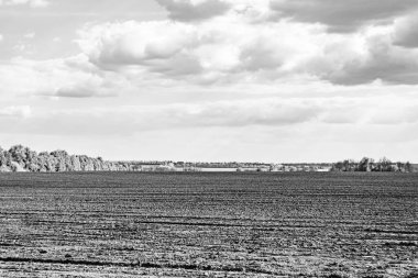Organik hasat için büyük boş tarla fotoğrafları, gökyüzü arka planında hasat için büyük boş tarım tarlalarından oluşan fotoğraf, bu sonbahar mevsiminde hasat için boş tarla.