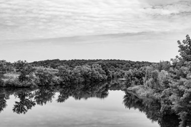 Kırsal kesimde yetişen güzel ot sazları renkli arka planda yetişiyor. Islak sularda vahşi ot bataklık kamışları, doğadan gelen uzun çimen kamışları.