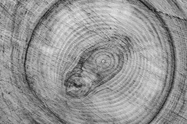 Güzel ahşap çatlak eski meşe, doğal doku yakın, eski yüzey ahşap meşe, çizgili doku eski meşe, duvar kağıdı arka planı için dekoratif tekir kırığı.