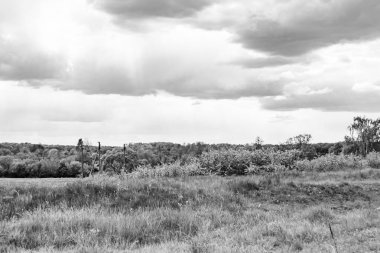 Renkli doğal arka plan üzerine köy çayırında güzel bir ufuk manzarası, uzun çayırdaki çayır köyünde ufuk manzarası, hayvan için köy otlağındaki ufuk doğa manzarası.