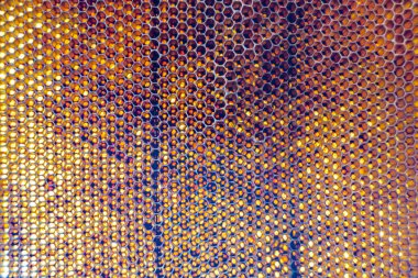 Altın nektarla dolu altıgen bal peteklerinden arı damlayan bal damlası, bal peteği yaz kompozisyonu doğal bal damlası, balmumu çerçeve arısına damlayan bal damlası, bal peteğine damlayan bal damlası