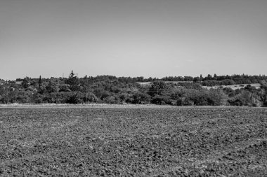 Organik hasat için büyük boş tarla fotoğrafları, gökyüzü arka planında hasat için büyük boş tarım tarlalarından oluşan fotoğraf, bu sonbahar mevsiminde hasat için boş tarla.