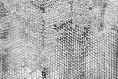 Altın nektarla dolu altıgen bal peteklerinden arı damlayan bal damlası, bal peteği yaz kompozisyonu doğal bal damlası, balmumu çerçeve arısına damlayan bal damlası, bal peteğine damlayan bal damlası