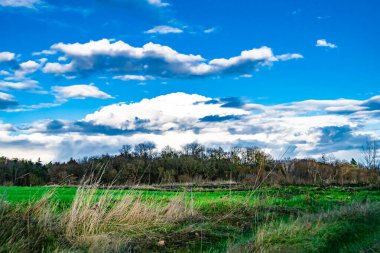 Organik hasat için büyük boş tarla fotoğrafları, gökyüzü arka planında hasat için büyük boş tarım tarlalarından oluşan fotoğraf, bu sonbahar mevsiminde hasat için boş tarla.