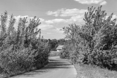 Renkli arka planda güzel boş asfalt yol, kırsal alandan geçen yeni boş asfalt yol, yeşillik kırsalında hız arabası için boş asfalt yol.