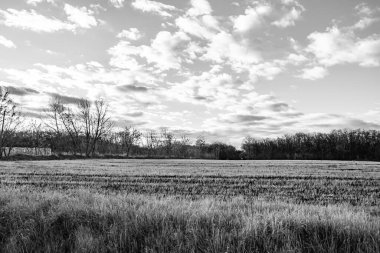 Organik hasat için büyük boş tarla fotoğrafları, gökyüzü arka planında hasat için büyük boş tarım tarlalarından oluşan fotoğraf, bu sonbahar mevsiminde hasat için boş tarla.