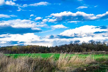 Organik hasat için büyük boş tarla fotoğrafları, gökyüzü arka planında hasat için büyük boş tarım tarlalarından oluşan fotoğraf, bu sonbahar mevsiminde hasat için boş tarla.