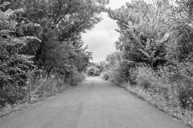 Renkli arka planda güzel boş asfalt yol, kırsal alandan geçen yeni boş asfalt yol, yeşillik kırsalında hız arabası için boş asfalt yol.
