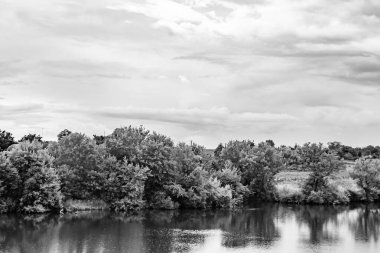 Kırsal kesimde yetişen güzel ot sazları renkli arka planda yetişiyor. Islak sularda vahşi ot bataklık kamışları, doğadan gelen uzun çimen kamışları.