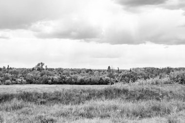 Renkli doğal arka plan üzerine köy çayırında güzel bir ufuk manzarası, uzun çayırdaki çayır köyünde ufuk manzarası, hayvan için köy otlağındaki ufuk doğa manzarası.