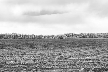 Organik hasat için büyük boş tarla fotoğrafları, gökyüzü arka planında hasat için büyük boş tarım tarlalarından oluşan fotoğraf, bu sonbahar mevsiminde hasat için boş tarla.