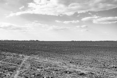 Organik hasat için büyük boş tarla fotoğrafları, gökyüzü arka planında hasat için büyük boş tarım tarlalarından oluşan fotoğraf, bu sonbahar mevsiminde hasat için boş tarla.