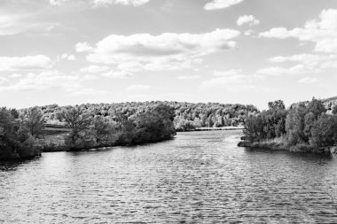 Kırsal kesimde yetişen güzel ot sazları renkli arka planda yetişiyor. Islak sularda vahşi ot bataklık kamışları, doğadan gelen uzun çimen kamışları.