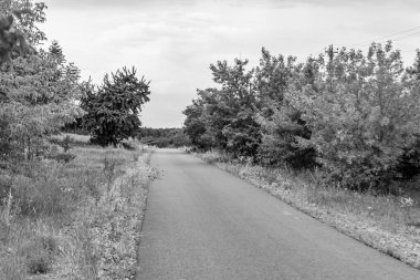 Renkli arka planda güzel boş asfalt yol, kırsal alandan geçen yeni boş asfalt yol, yeşillik kırsalında hız arabası için boş asfalt yol.
