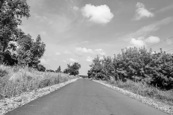 Renkli arka planda güzel boş asfalt yol, kırsal alandan geçen yeni boş asfalt yol, yeşillik kırsalında hız arabası için boş asfalt yol.