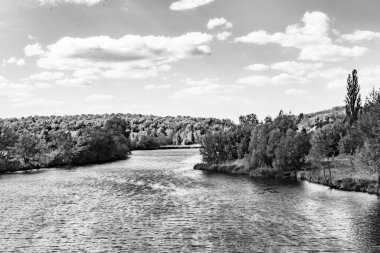 Kırsal kesimde yetişen güzel ot sazları renkli arka planda yetişiyor. Islak sularda vahşi ot bataklık kamışları, doğadan gelen uzun çimen kamışları.