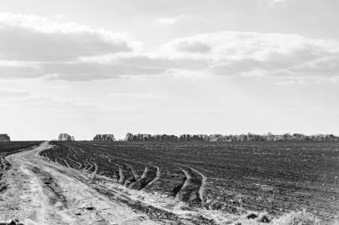Organik hasat için büyük boş tarla fotoğrafları, gökyüzü arka planında hasat için büyük boş tarım tarlalarından oluşan fotoğraf, bu sonbahar mevsiminde hasat için boş tarla.