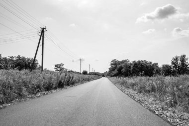 Renkli arka planda güzel boş asfalt yol, kırsal alandan geçen yeni boş asfalt yol, yeşillik kırsalında hız arabası için boş asfalt yol.